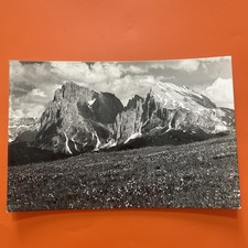 ALPE DI SIUSI GRUPPO DEL