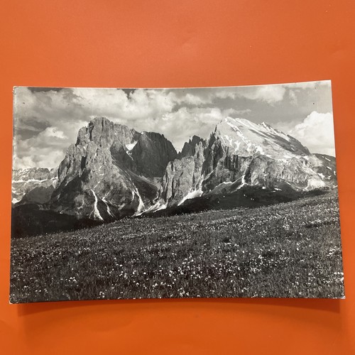 Alpe siusi gruppo del - di,