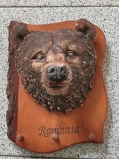 Crest TESTA DI ORSO in gesso su base di legno con pomelli ROMANIA