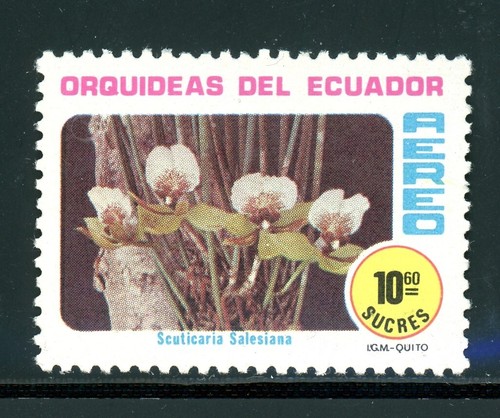 Ecuador scott c710 - ecuador, mnh