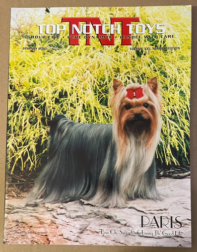 Tnt top notch toys rivista - tnt, per
