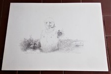 Disegno LUCIANO PROVERBIO La