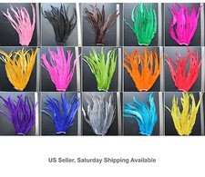 25pz Piume Coda COQUE Gallo