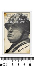 calamita fascismo benito