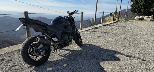 Scarico mivv carbon kawasaki - carbon,