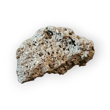 Roccia lavica naturale 10 cm 200 g per acquario/terrario, porosa inerte 
