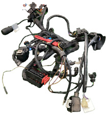 Impianto Elettrico Bmw F 650 Gs Anno 2000 2001 2002 2003 2004 Vedi Foto