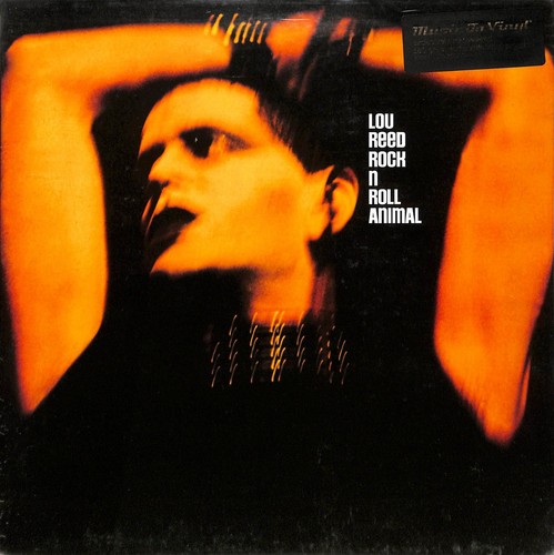 Lou reed rock n roll - lou,