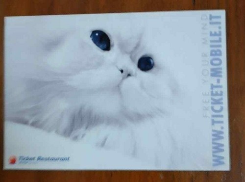 3381 promocard ticket - 3381,