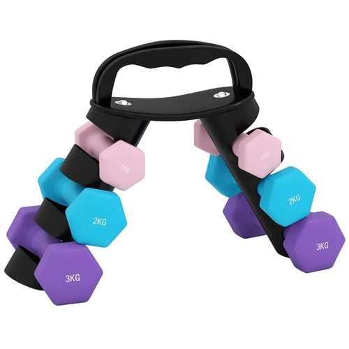 Set manubri pesi 2x1 - manubri, (2x1