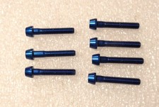 VITE ERGAL BLU TESTA TORNITA