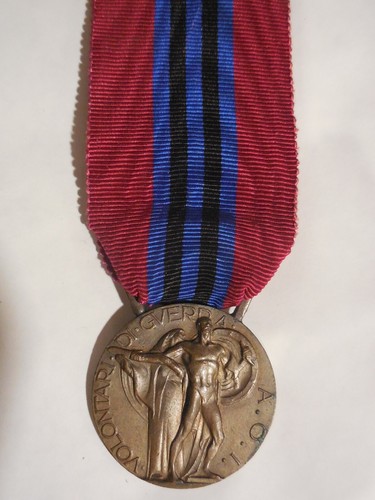 Medaglia per volontari in - volontari,