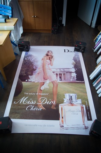 Dior lily donaldson poster - lily,