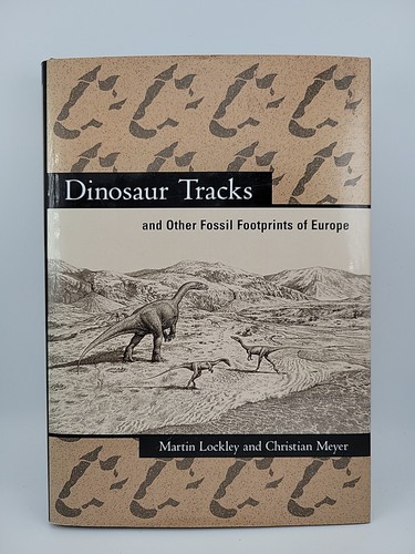 Dinosaur tracks and other - tracks,