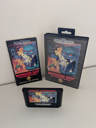 Wonderboy monster world - wonderboy, in