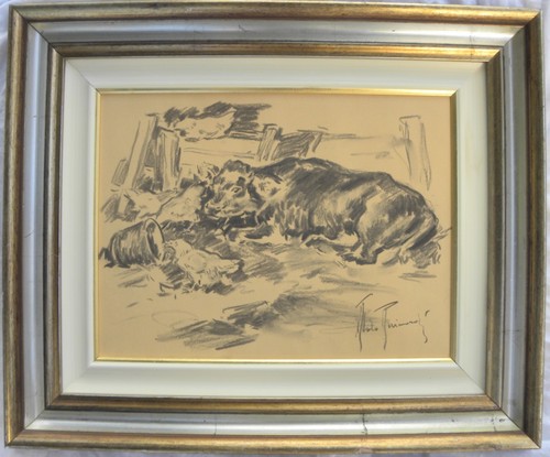Aldo raimondi roma - aldo,