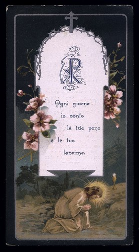 Santino luttino - santino,