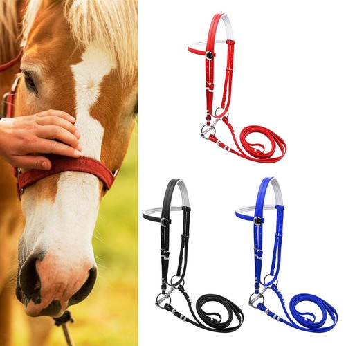Briglia per cavallo - , con