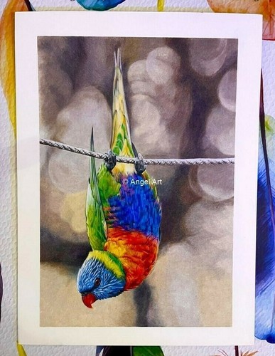 Disegno pappagallo arcobaleno - pappagallo,