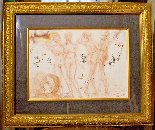 Framed original salvador - original,