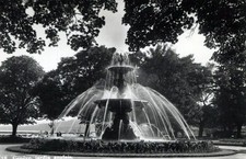 Suisse Geneva Genève Jardin