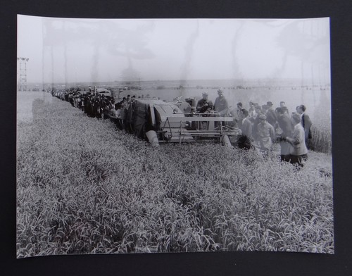 Photo ancienne braud - ancienne,