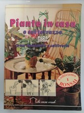 Piante in casa e sul terrazzo