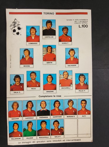 Squadra torino 1976 - 1976, calcio