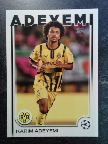 Karim adeyemi borussia - karim,