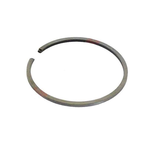 Fascia elastica segmento - fascia,