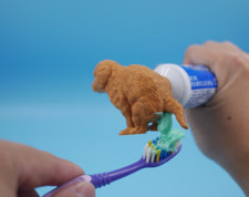 Dispenser dentifricio cacca