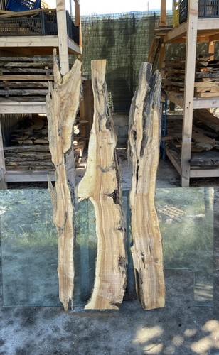 Tavole legno ulivo 3 - legno,
