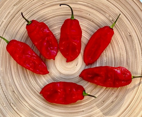 Semi peperoncino devils - semi, di