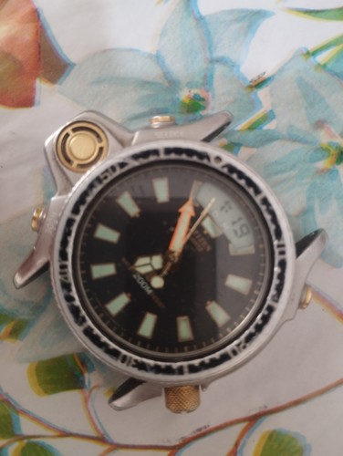 Citizen acqualand promaster - citizen,