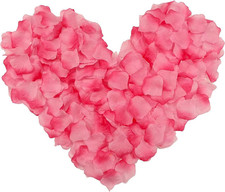 1000 Pezzi Petali Di Rosa