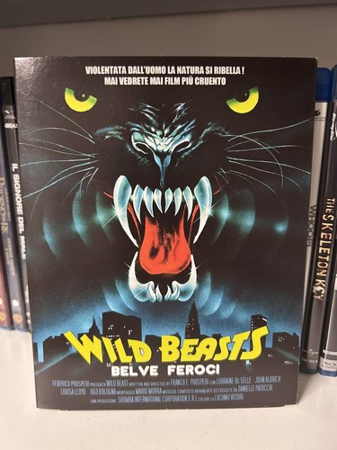 Wild beasts belve feroci - wild,