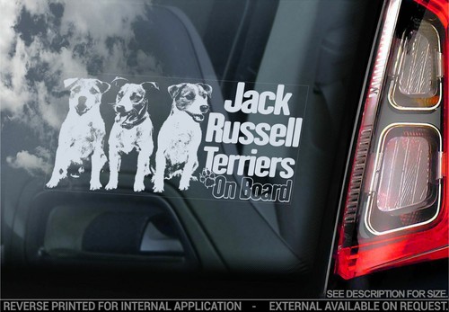 Adesivo auto jack russel - adesivo,