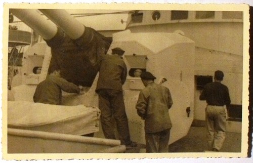 Marina militare regia - marina, (