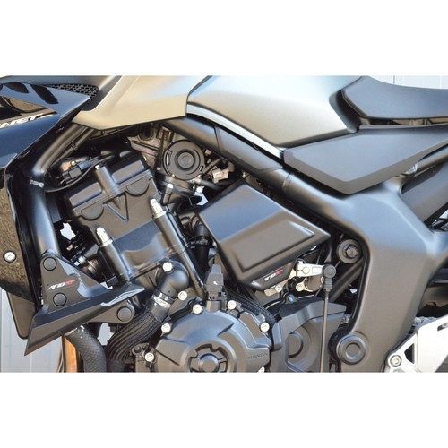1000 hornet 2025 - 1000/sp,