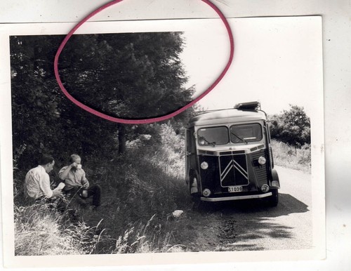 Foto auto automobile - foto,