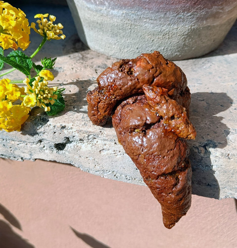 Merda schifosa scherzi - 💩merda,