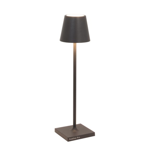 Zafferano poldina micro - zafferano,,