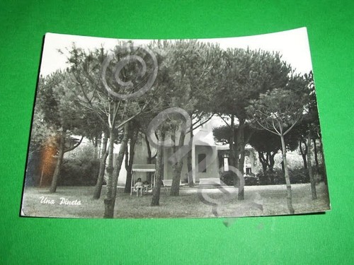 Cartolina forte dei marmi - cartolina,