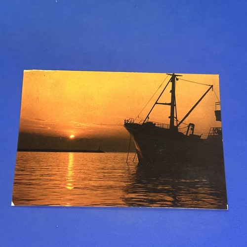 Viareggio tramonto cartolina - -,