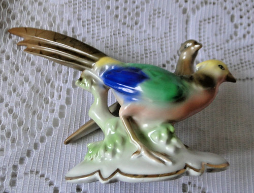 Coppia uccelli fagiano piatto - uccelli,