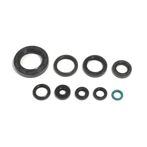 Serie paraoli motore athena - paraoli,