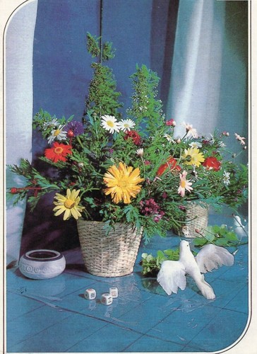 Composizione con vaso - , di