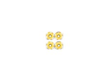 Tappi Telaio Oro Ducabike DBK