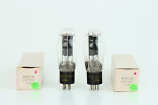 COPPIA ABBINATA Western