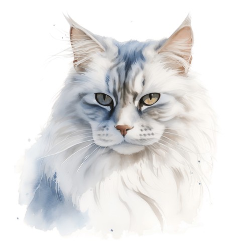 Adesivi gatto siberiano - gatto,